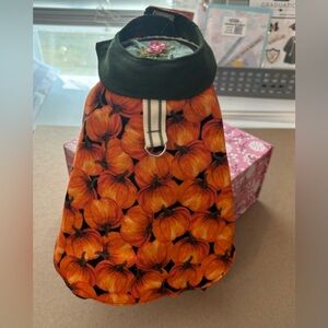 Fall dress for xsdog